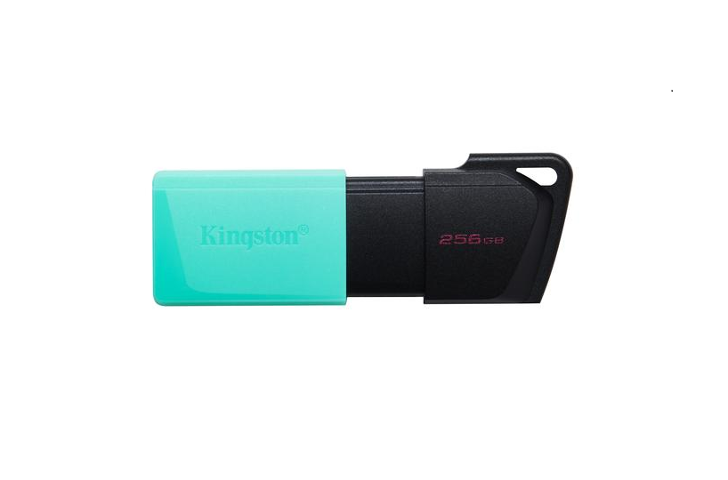 Kingston DataTraveler USB Stick